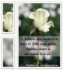 We did not find results for: Palabras De Condolencias Cuando Alguien Muere Frases Biblicas De Consuelo Por Muerte De Un Madr Frases De Consuelo Palabras De Condolencia Palabras De Consuelo