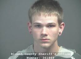 Arrest Record of Herbert Anthony Bentley for Violation of Probation in  Blount