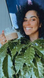 Arabica coffee bean plant care tips needed