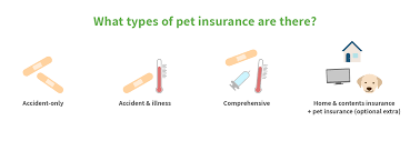 We did not find results for: Compare Pet Insurance 2021 Guide To Choosing Pet Insurance Cover Mozo