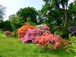 Please include screenshots, error reports and the like. Die Romantischsten Garten In England Wunderschon