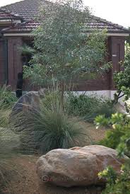 Portfolio Garden Design Ashfield Mallee Design Australian Garden Design Australian Garden Coastal Gardens