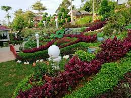 Tanaman hiasan atau pokok hiasan adalah tumbuhan yang ditanam untuk tujuan hiasan pada taman dan projek reka bentuk landskap, sebagai tanaman rumah, untuk bunga potong dan pameran. Pokok Hiasan Laman Lanskap Shopee Malaysia