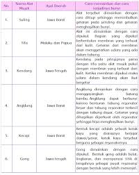 Kunci jawaban hasil kunci jawaban tema 2 kelas 4 halaman 11 12 13 14 15 dan 17 18 subtema 1 sumber energi untuk pembahasan soalnya ada pada subtema 1 pembelajaran 2. Jenis Alat Musik Daerah Halaman 11 Belajar Kurikulum 2013