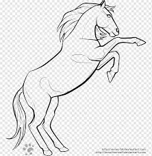 How to draw a mustang horse. Arabian Horse Mustang American Quarter Horse Friesian Horse Rearing Galloping Horse Horse White Mammal Png Pngwing