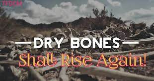 DRY BONES SHALL RISE AGAIN" EZEKIEL 37:1-14. Brethren, last time ...save the world ministry