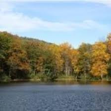 Stay the night at tuscarora state park. Tuscarora State Forest Blain Pa 17006
