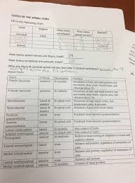 solved levels of the spinal cord fill in the following ch