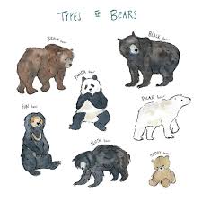 Kye C On Instagram Types Of Behs Munchkinillustrations Bear Art Cute Animal Drawings Animal Art