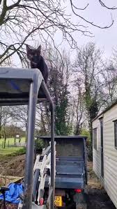 🦄 @jonathan.jowett