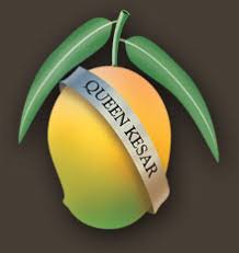 Maybe you would like to learn more about one of these? Buy Indian Mangoes Online Queen Kesar Mango Gift Mango Usa Savanifarms