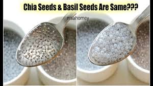 Huge selection at great low prices. Chia Seeds Basil Seeds Sabja Are The Same Quick Weight Loss With Chia Seeds Health Benefits Youtube