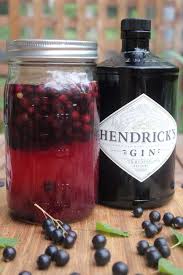 Homemade Blackcurrant Gin Recipe Recipe Gin Recipes Blackcurrant Gin Flavoured Gin