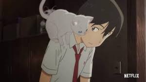 Pin De Blue Chan Em ɪᴄᴏɴꜱ Em 2020 Amor De Gato Filmes De Anime Olho De Gatinho