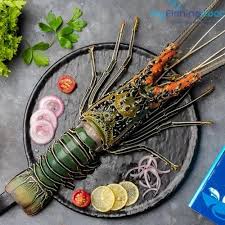 نتیجه جستجوی لغت [lobster] در گوگل