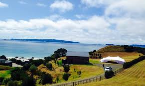 A Relaxed Wedding In The Utterly Glorious Opito Bay Coromandel Relaxed Wedding Marquee Wedding Venues