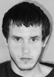 Wrong-way wreck injures horse