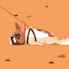 Check spelling or type a new query. Drawing A Dog Gif Novocom Top