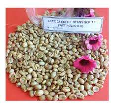 Arabica and robusta green coffee beans for sale 3500 ha plantation handpicking start processing from cherry coffee bean arabica green coffee beans 1.large supply:180000 hectares before 2014, the highest production of south africa coffee in the records was 60 thousand tons annually. High Quality Kenya Arabica Washed Green Coffee Bean Products South Africa High Quality Kenya Arabica Washed Green Coffee Bean Supplier
