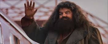 Harry is snatched away from his mundane existence by rubeus hagrid, the grounds keeper for hogwarts, and quickly thrown into a world completely foreign to both him and the viewer. Harry Potter And The Sorcerer S Stone Hagrid Waves To Harry As The Hogwarts Express Leaves H Harry Potter Characters Harry Potter Journal Harry Potter Movies