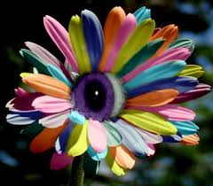 We did not find results for: Page 2 Hd Rare Flowers Wallpapers Peakpx
