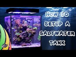 Maybe you would like to learn more about one of these? How To Set Up A Saltwater Fish Tank Aquarium Youtube