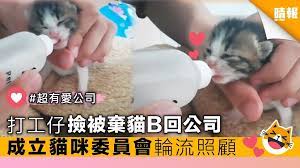 樂死vs 堅持治療 美國獸醫提出 7大指標 教主人判斷是否安樂死 hamster animals