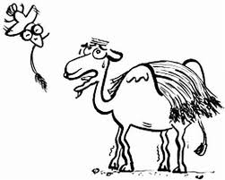 The straw that broke the camel's back. The Last Straw Picnic With Ants