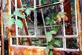 By the way, if you. Orangerie In Langenberg Ein Lost Place Hallo Velbert