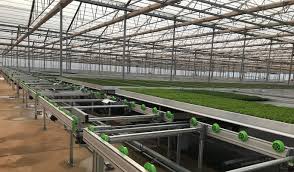 Live wire is a committed electrical contracting company, backed with highly trained professionals, servicing all five boroughs in the state of new york. Industrial Electrical Contractors Toowoomba Qld Livewired Electrical