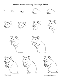 Hamster Drawing Lesson