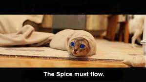 Spice must flow by electric yawn, released 09 january 2021 1. The Spice Must Flow Pic Wired