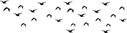 نتیجه جستجوی لغت [flock] در گوگل