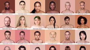 Pantone Human Skin Color Chart View Please Humanae Tumblr