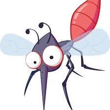 25 washington st, apt 7, bristol, ct 06010. Ct Pest Elimination Home Facebook