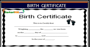 Birth Certificate A Legal Document The Birth Certificate Is The Certified Copy Of The Registratio Certificates Online Birth Certificate Birth Certificate Form