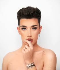 Explore our extensive collection of diamond, gemstone, and pearl jewelry gifts. Sale Paperclip Earrings James Charles Is Stock