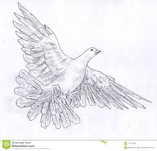 Bird With Wings Spread Drawing Easy Pin On Things That Make Me Happy