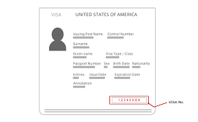 Check spelling or type a new query. What Is A Visa Green Card Number Prepare For Travel International Ana
