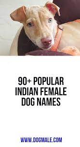 So don't be afraid to push the envelope and go for something unisex! Female Dog K Names Hno At