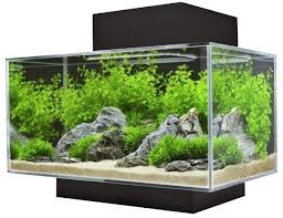 Aquarium rimless bio glass 700. Daftar Harga Aquarium Terbaru Dan Terlengkap Tahun 2021