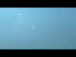 Demi tarif watch online