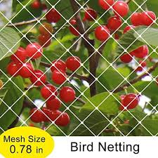 Anti Bird Netting For Garden Amazon Com Agfabric Garden Bird Netting Anti Bird Protection Net Fruit Vegetables Flower Garden Pond Netting 14x100f Bird Netting Bird Garden Garden Netting