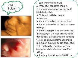 Setiap bayi berkembang dengan caranya sendiri di dalam kandungan. Ukuran Bayi 7 Bulan Dalam Kandungan Berbagai Ukuran