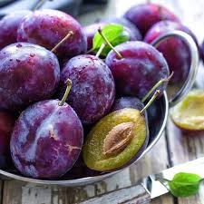 Graines Pepins Et Noyaux Comment Les Faire Germer Liste Des Aliments Sains Graines De Citron Faire Germer Des Graines