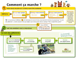 Âgé de 18 ans, je me propose pour garder vos animaux a votre domicile ou a mon domicile sur villefranche sur saône. Faire Garder Son Animal Par Un Inconnu Animal Fute