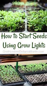 Pin On Vegetable Gardening