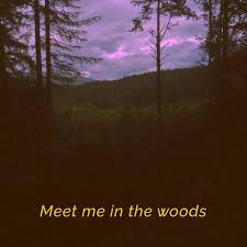 Meet Me In The Woods Scotland Night In The Wood Into The Woods Quotes Lord Huron Lyrics