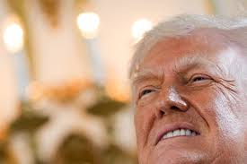 Comfort K-9s provide support during Brown University's darkest days