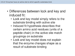The induced fit theory explains the binding of enzyme and substrate when they are not perfectly matched with each other by their shapes. Lock And Key Vs Induced Fit Animation